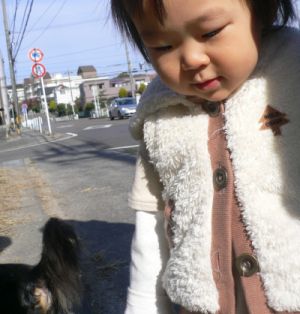 ちほ ちほ