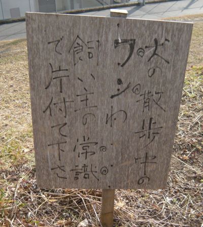 p1050964