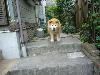 MIX ぴっち MIX ぴっち