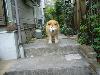 MIX ぴっち MIX ぴっち