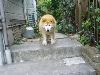MIX ぴっち MIX ぴっち