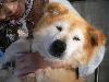 MIX ぴっち MIX ぴっち