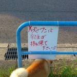 名東区