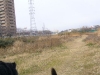 P1110090.JPG